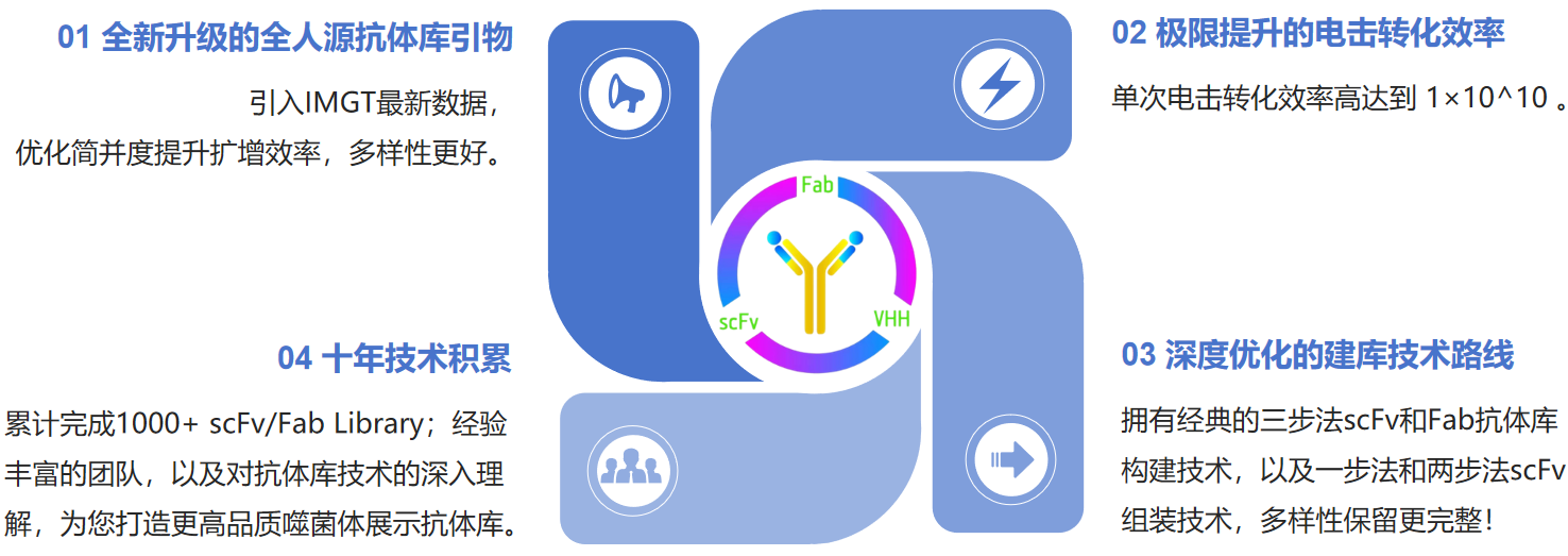 人源抗体库-2.png